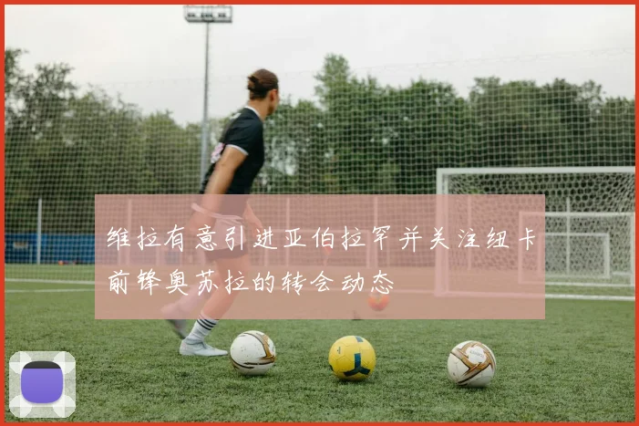 维拉有意引进亚伯拉罕并关注纽卡前锋奥苏拉的转会动态
